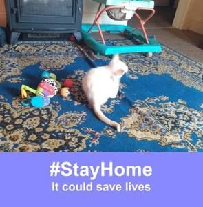 Meet your Posher, Roberta